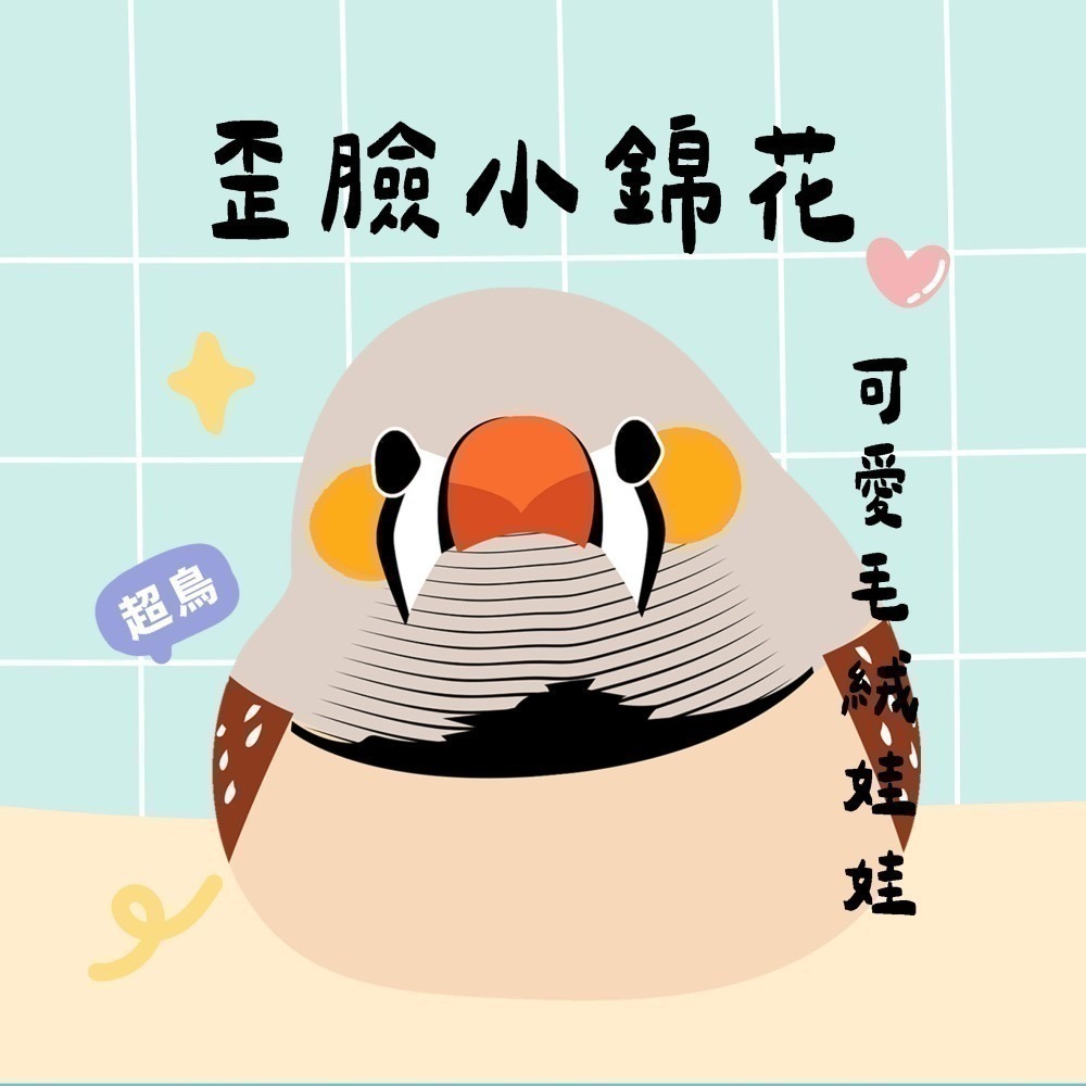 超可愛小鳥花束 ❤️ ❤️ ❤️ 中花束-規格圖11