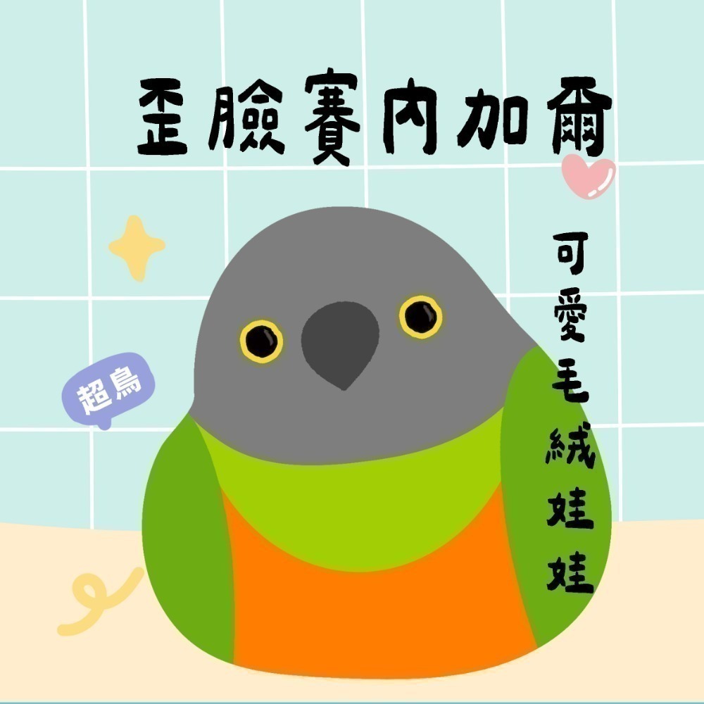 超可愛小鳥花束 ❤️ ❤️ ❤️ 中花束-規格圖11