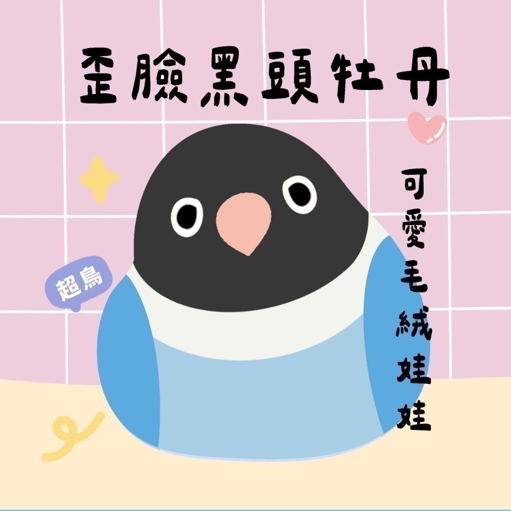 超可愛小鳥花束 ❤️ ❤️ ❤️ 中花束-規格圖11