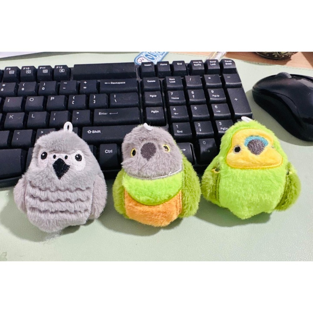 啾啾的型男日記 獨家小娃娃 ／歪臉灰鸚鸚-細節圖2