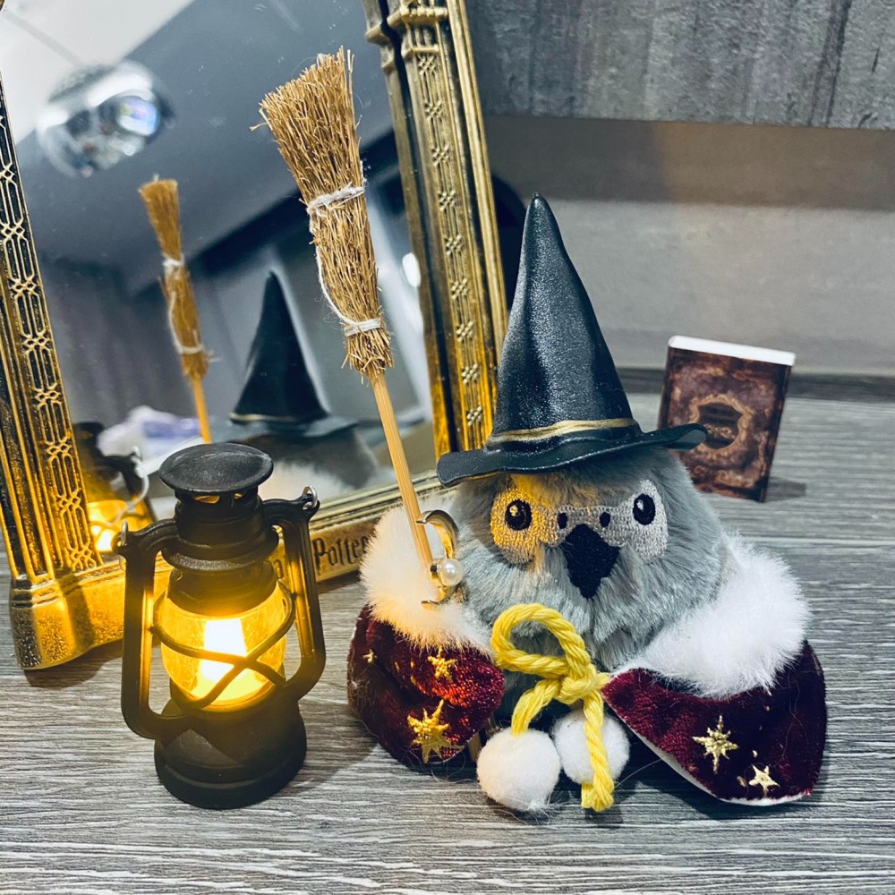 啾啾的型男日記 獨家小娃娃 ／歪臉灰鸚鸚-細節圖3