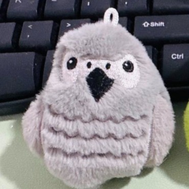 啾啾的型男日記 獨家小娃娃 ／歪臉灰鸚鸚-規格圖3