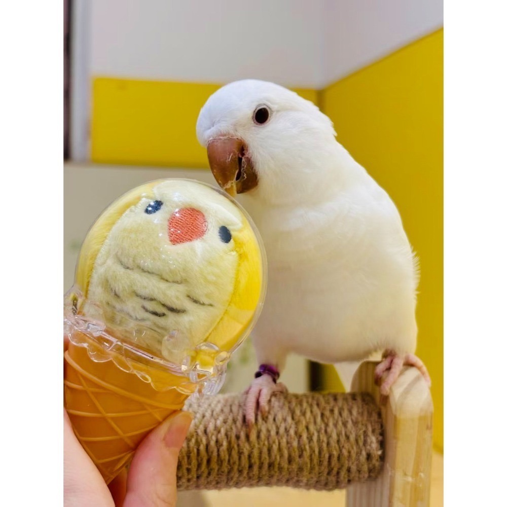 小鳥娃娃冰淇淋❤️配件款-細節圖4