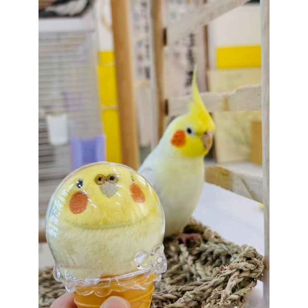 小鳥娃娃冰淇淋❤️配件款-細節圖5