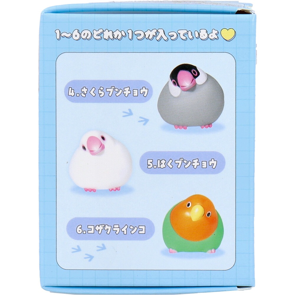 日本 小鸚鵡 小鳥 盲盒-細節圖8