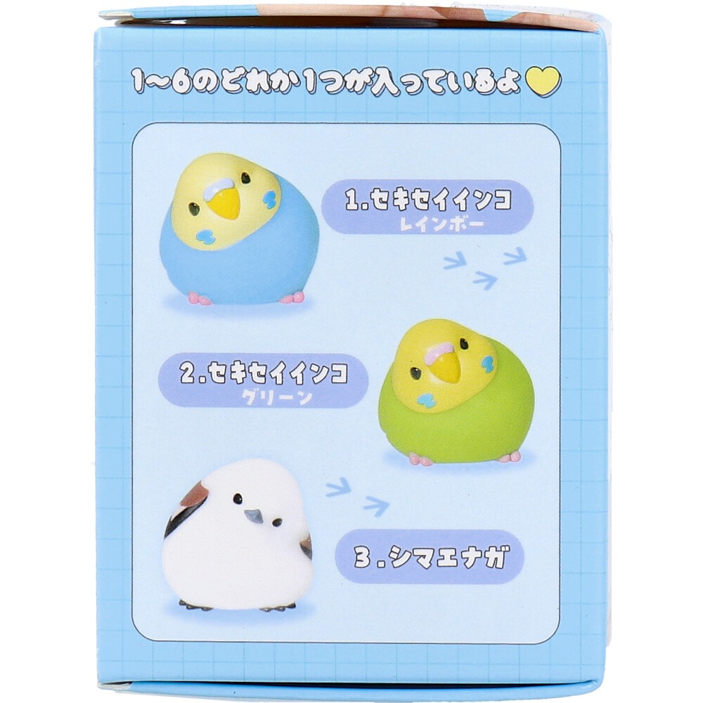 日本 小鸚鵡 小鳥 盲盒-細節圖9