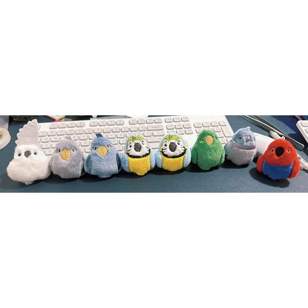 啾啾的型男日記 獨家小娃娃 ／歪臉藍大傻 鶁頭鸛-細節圖5