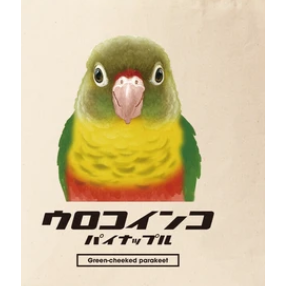 日本 可愛 小鸚鵡 米色 帆布袋 小太陽鸚鵡款-規格圖5