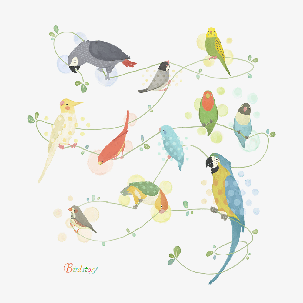 日本 BIRDSTORY 可愛小鳥 鸚鵡 棉T 預購 SALE-細節圖2
