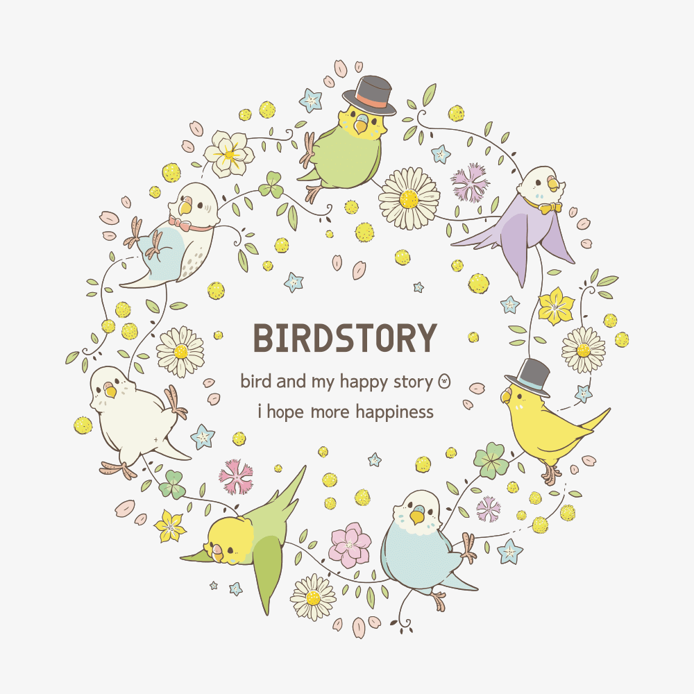 日本 BIRDSTORY 可愛小鳥 鸚鵡 棉T 預購 SALE-細節圖2