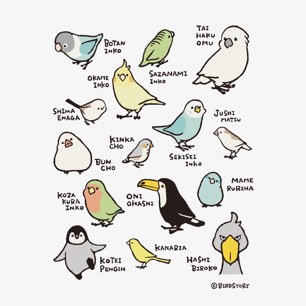 日本 BIRDSTORY 可愛小鳥 鸚鵡 棉T 預購 SALE-細節圖2