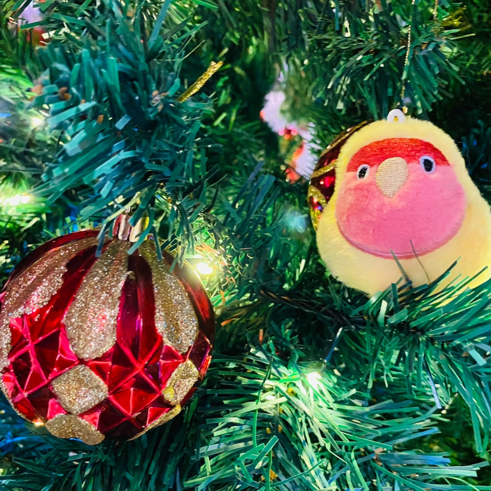 啾啾的型男日記 獨家小娃娃 ／歪臉紫羅蘭小鸚 預購-細節圖5