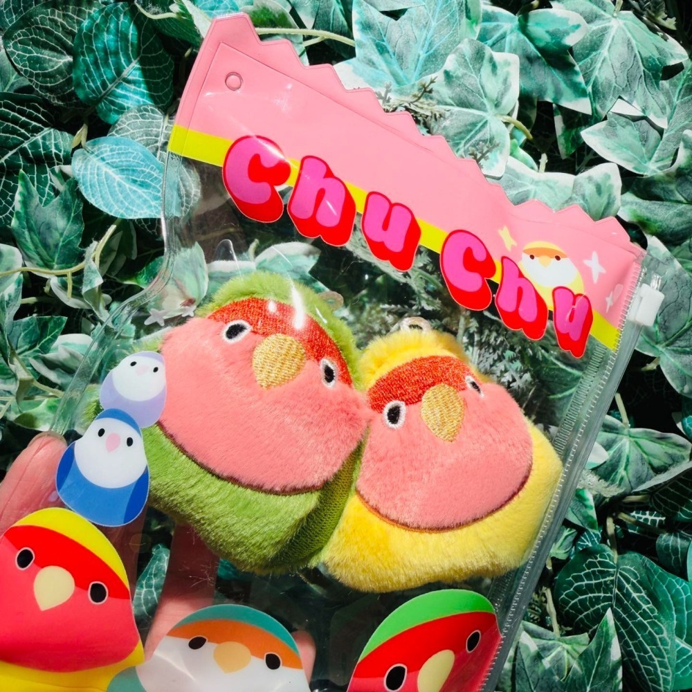 歪臉小鳥娃娃 可愛娃包 糖果袋 🍬限定小鸚  L尺寸-細節圖3