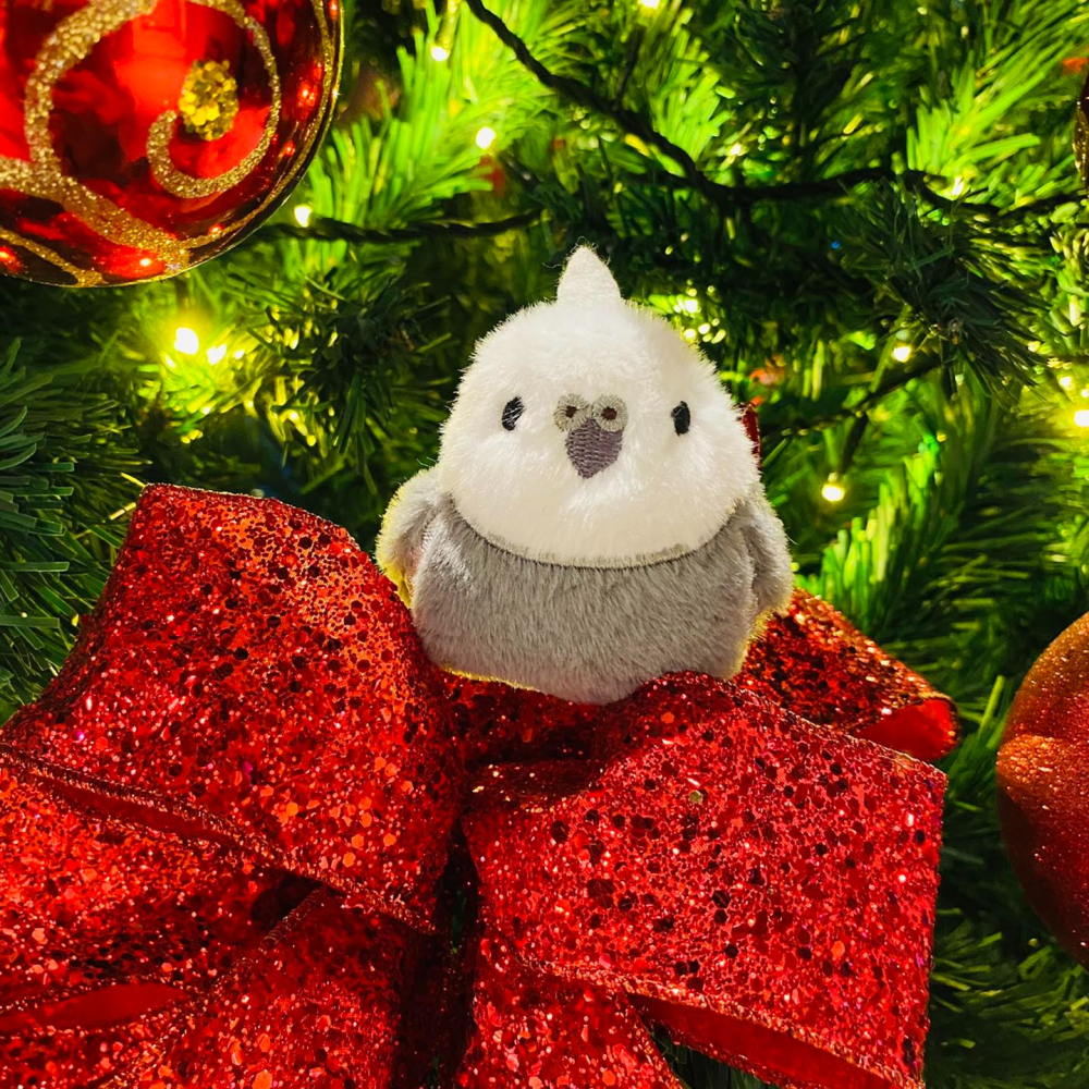 啾啾的型男日記 獨家小娃娃 ／歪臉原生玄鳳 預購-細節圖3