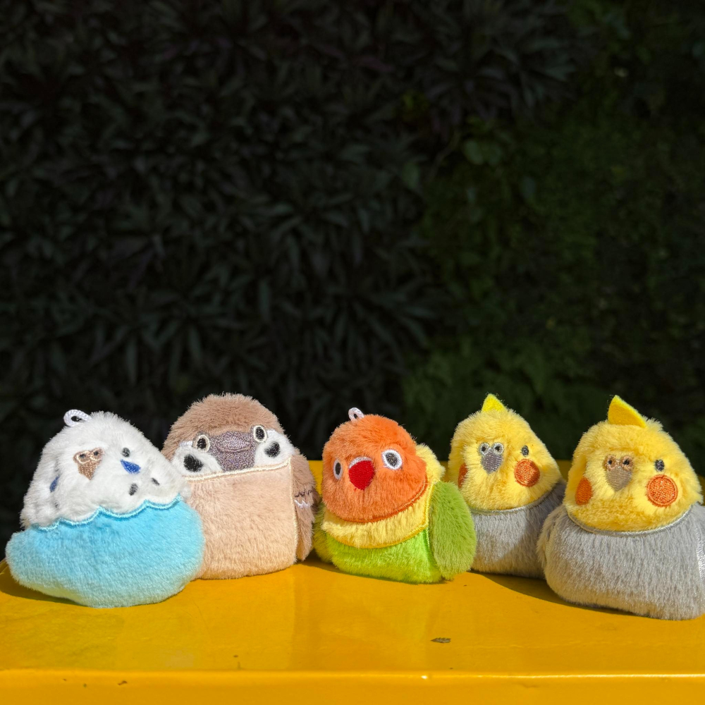 啾啾的型男日記 獨家小娃娃 ／歪臉原生玄鳳-細節圖2