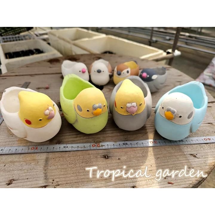 啾啾的型男日記 SALE 鳥物8-細節圖2