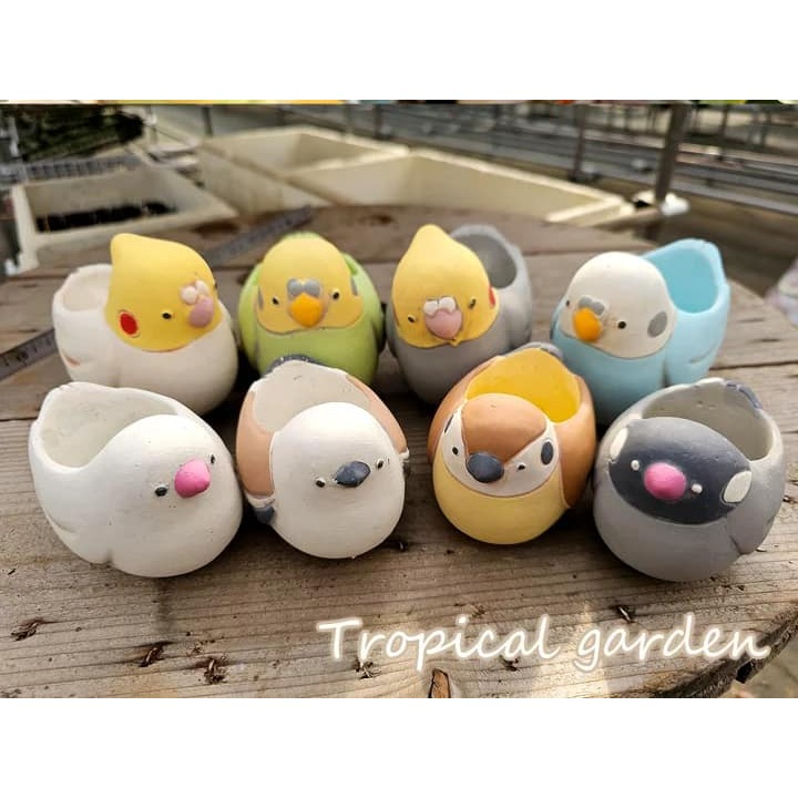 啾啾的型男日記 SALE 鳥物8-細節圖3