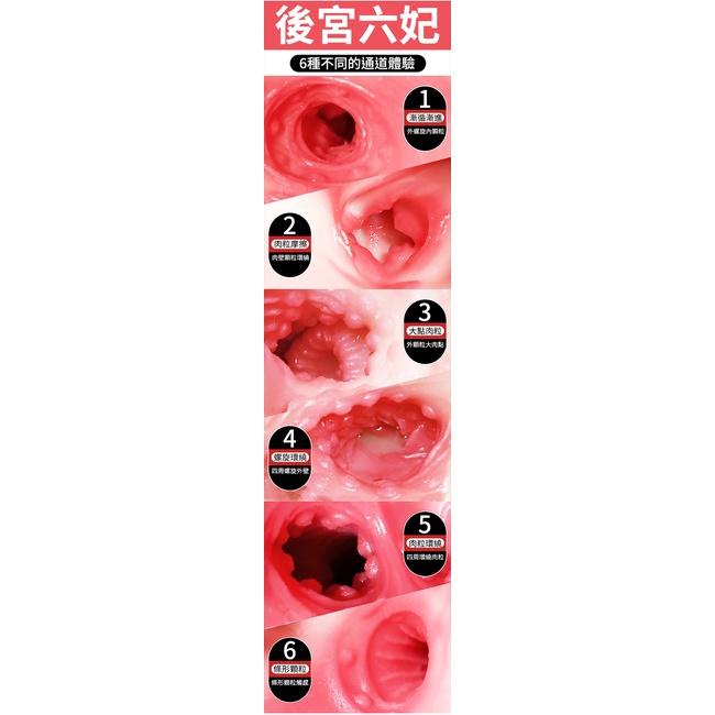 【送270ml潤滑液】後宫名器 ‧ 一體六穴 - 體驗6種不同通道 ﹝附贈120 ml潤滑液﹞-細節圖5