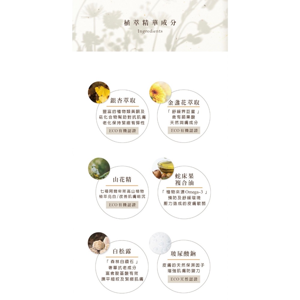 🔅現貨供應🔅SHEN森 金盞花舒緩調理潤膚水-細節圖5