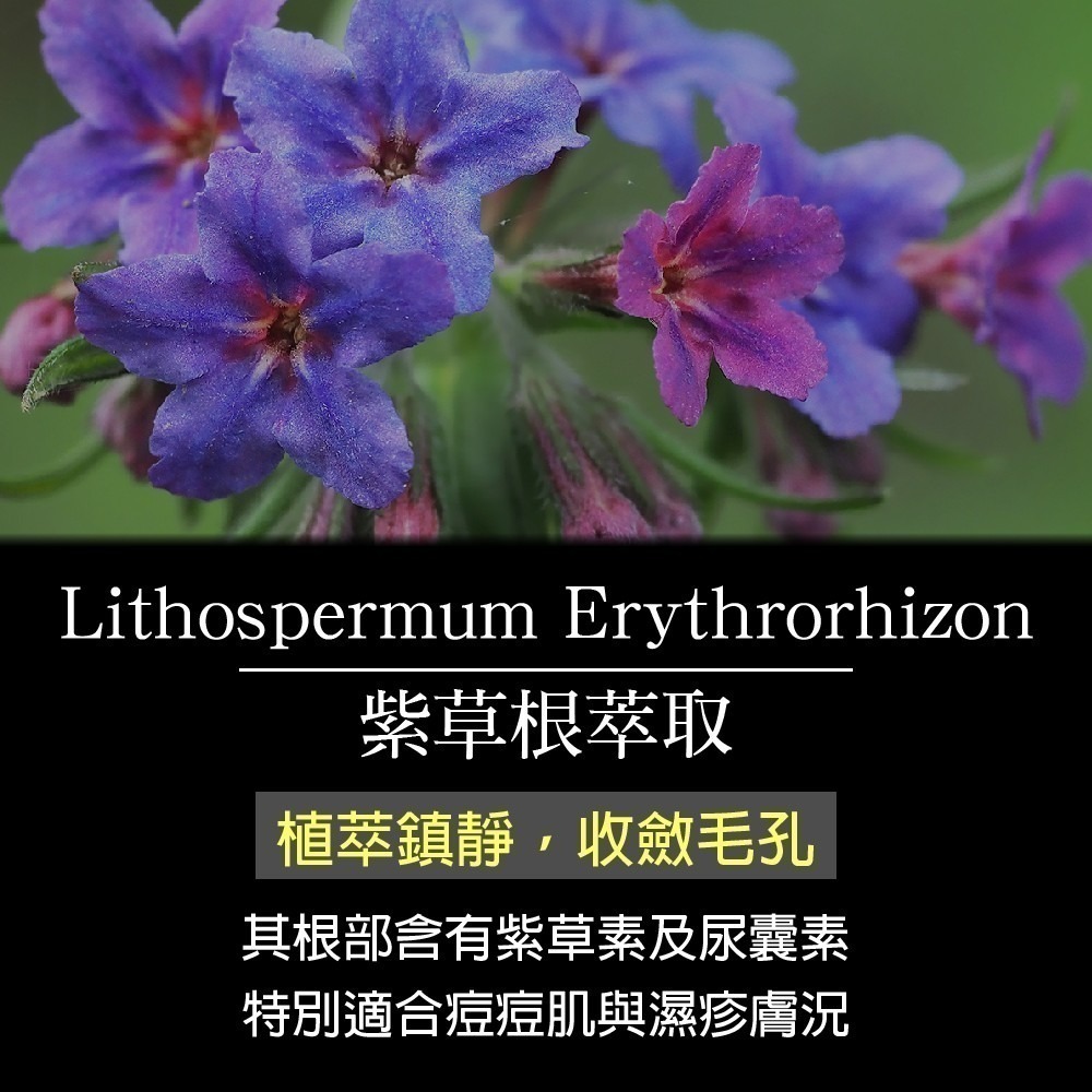 【ESNIE伊絲妮】親膚控油胺基酸潔顏霜100ml(藍鈴花香)【官方旗艦店】好上妝｜洗面乳｜洗臉｜溫和親膚｜不癢不乾澀-細節圖5