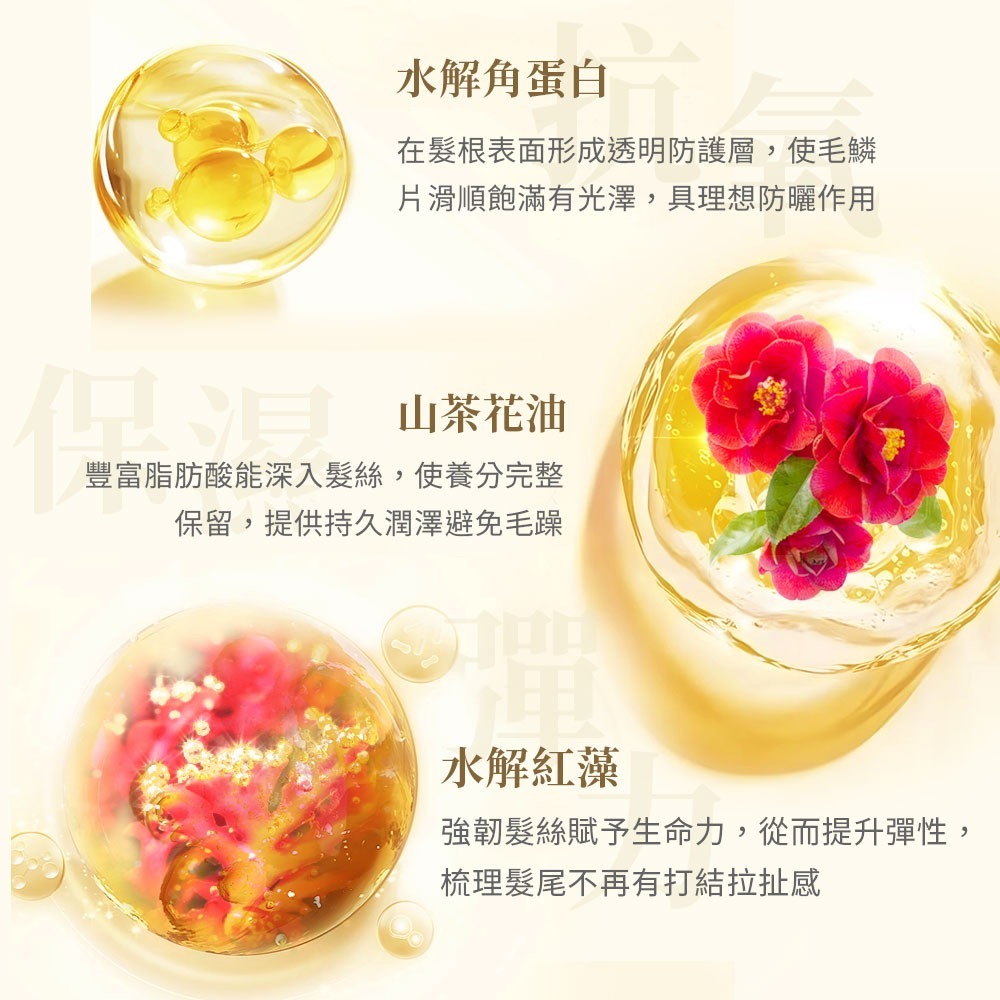 【ESNIE伊絲妮】柔順彈力植物角蛋白護髮乳580ml【官方旗艦館】-細節圖6