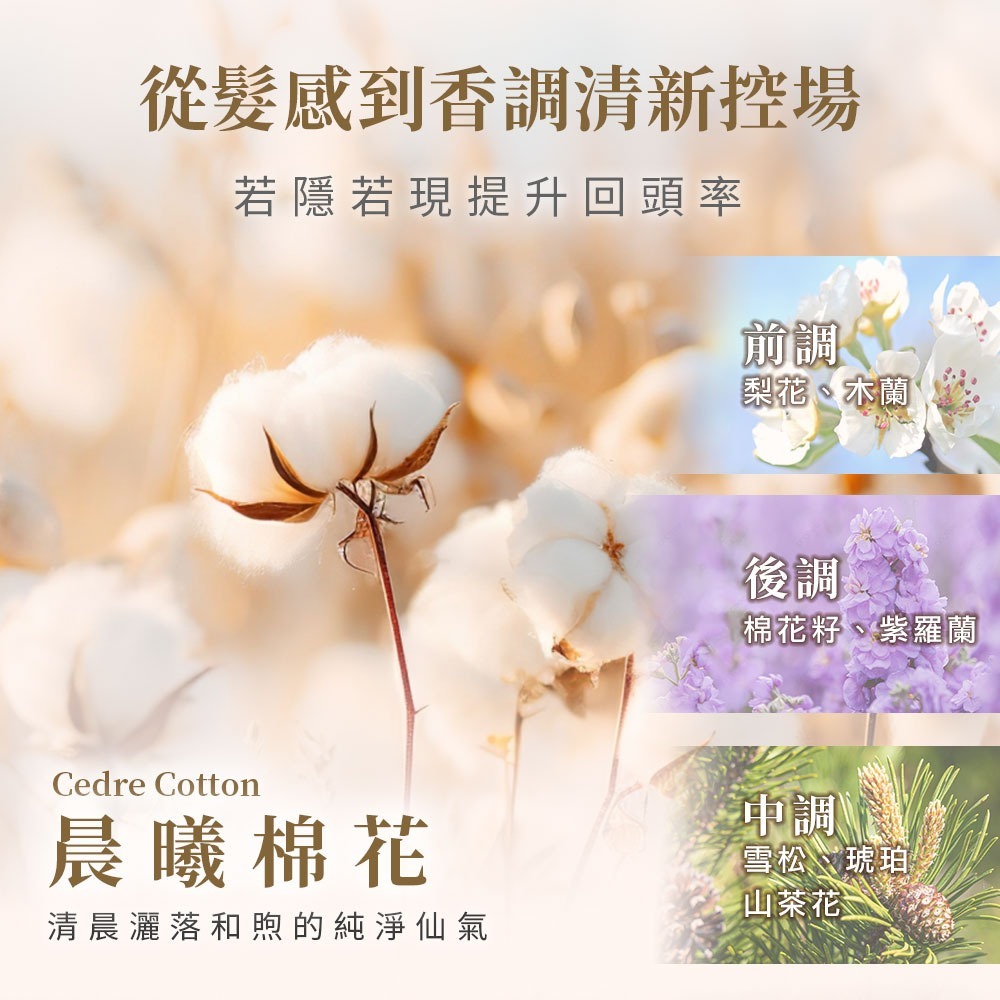 【ESNIE伊絲妮】柔順彈力植物角蛋白護髮乳580ml【官方旗艦館】-細節圖7