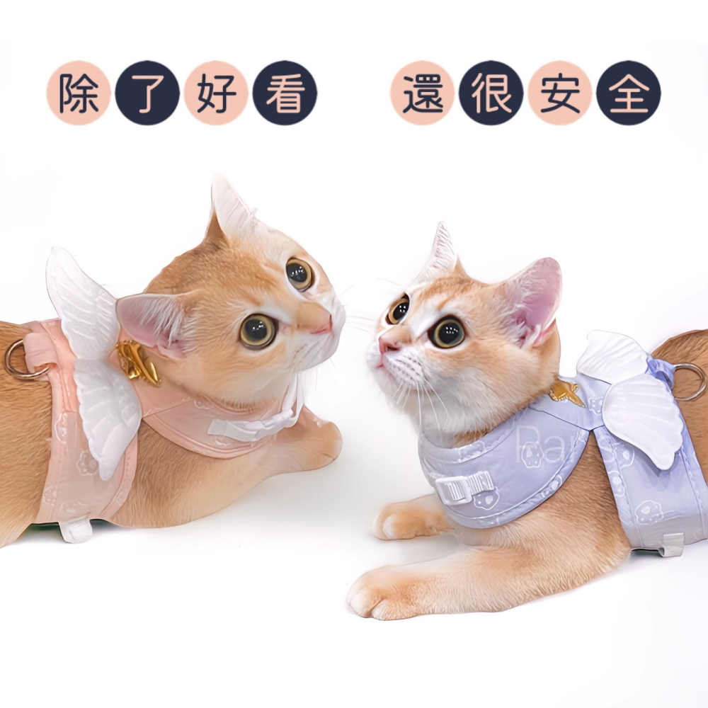 天使羽翼 寵物背帶牽繩 / 寵物胸背帶 貓胸背帶 背心胸背帶 貓牽繩 胸背帶 貓衣服 貓咪牽引繩 【現貨24H出貨】-細節圖3