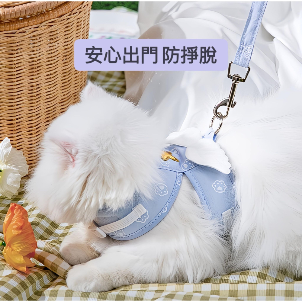 天使羽翼 寵物背帶牽繩 / 寵物胸背帶 貓胸背帶 背心胸背帶 貓牽繩 胸背帶 貓衣服 貓咪牽引繩 【現貨24H出貨】-細節圖5