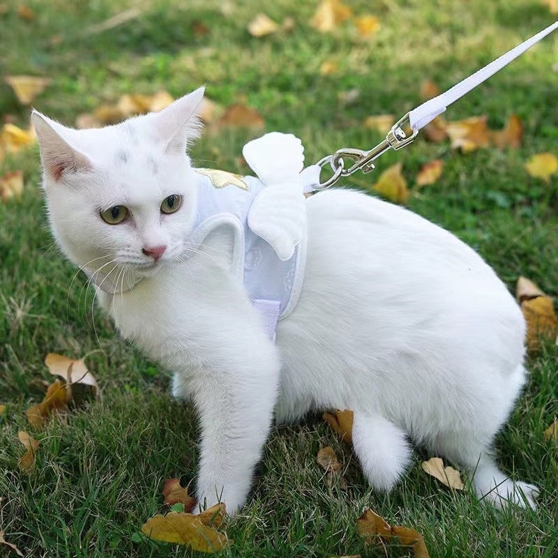 天使羽翼 寵物背帶牽繩 / 寵物胸背帶 貓胸背帶 背心胸背帶 貓牽繩 胸背帶 貓衣服 貓咪牽引繩 【現貨24H出貨】-細節圖9