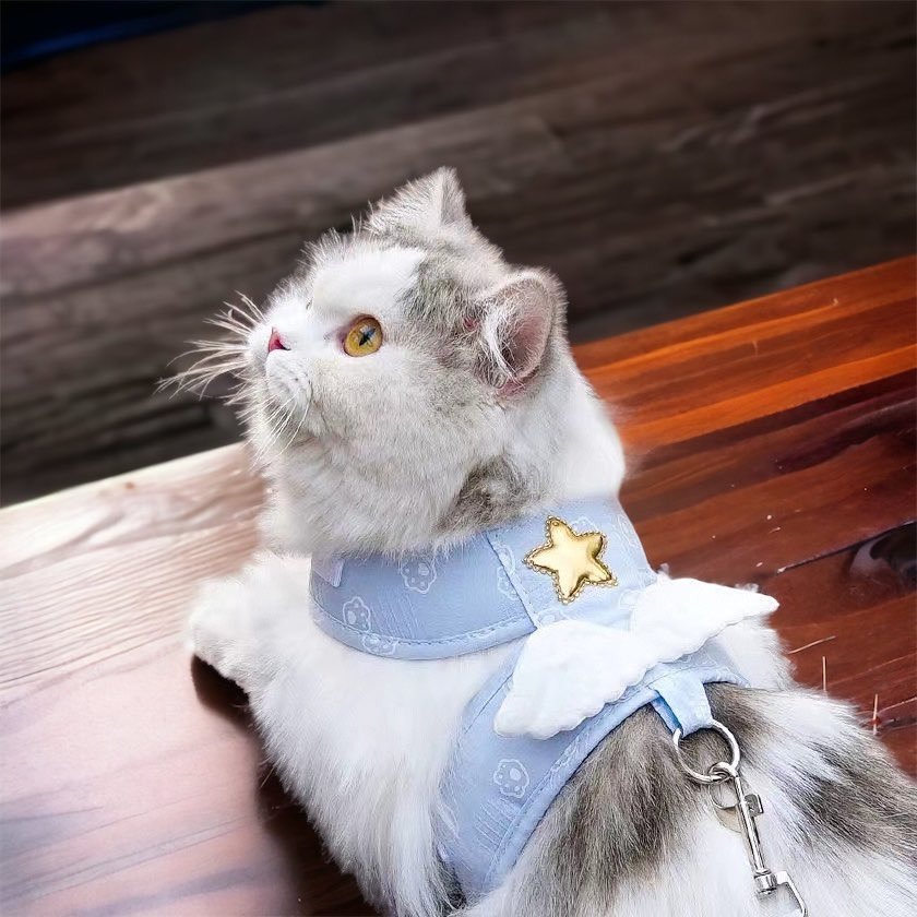 天使羽翼 寵物背帶牽繩 / 寵物胸背帶 貓胸背帶 背心胸背帶 貓牽繩 胸背帶 貓衣服 貓咪牽引繩 【現貨24H出貨】-細節圖10