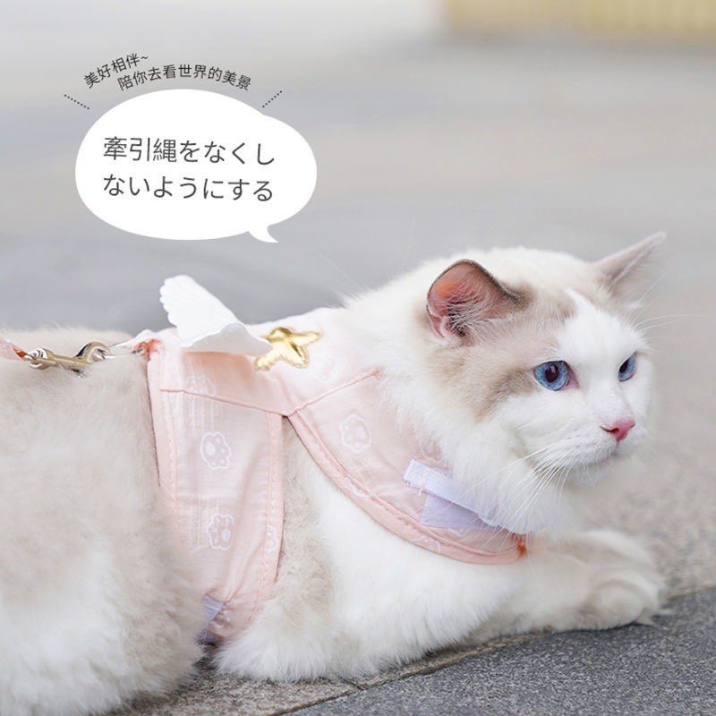 天使羽翼 寵物背帶牽繩 / 寵物胸背帶 貓胸背帶 背心胸背帶 貓牽繩 胸背帶 貓衣服 貓咪牽引繩 【現貨24H出貨】-細節圖11