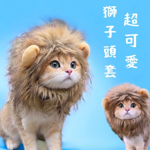 寵物可愛獅子頭套 / 寵物保暖頭套 小耳朵帽 寵物帽 寵物變裝 貓咪頭飾【現貨24H出貨】