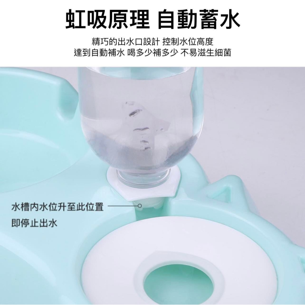 寵物不鏽鋼飲食兩用碗 (6色任選)  / 不鏽鋼碗 防濕嘴 兩用碗 寵物飲食碗 寵物碗【現貨24H出貨】-細節圖5