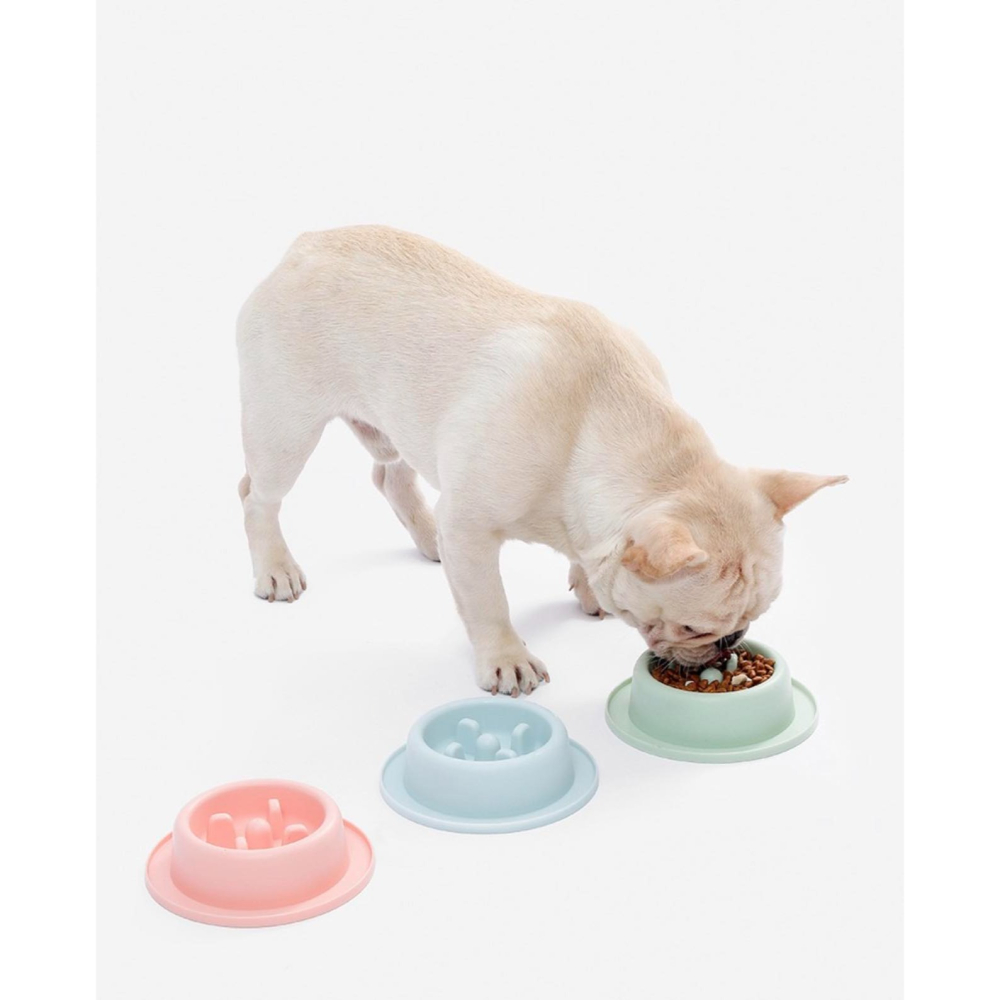 安全無毒 寵物慢食碗 (馬卡龍色系列) 【現貨24H出貨】-細節圖8