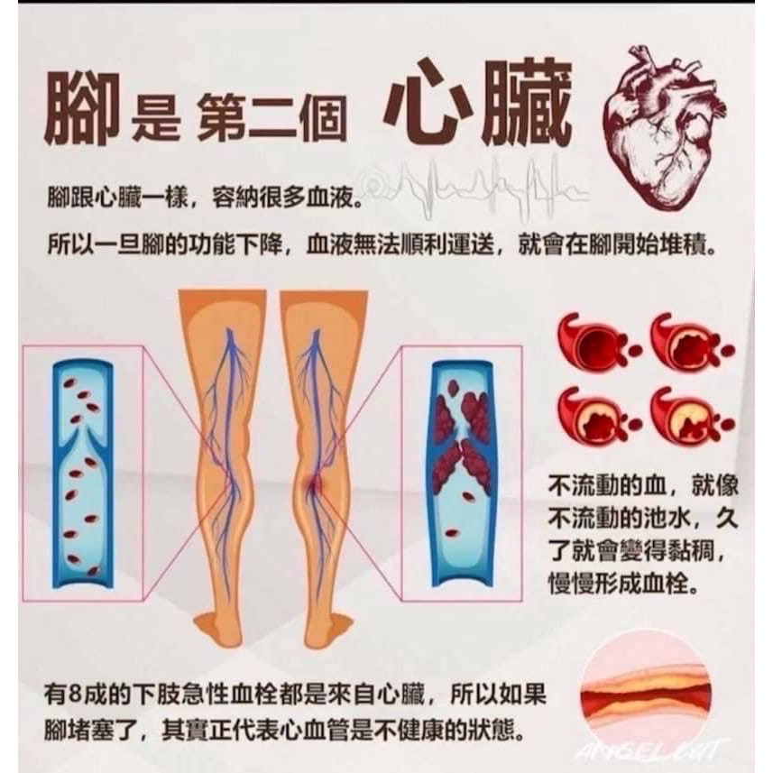 4台負離子 #專賣OlyLife 公司正貨#P90#負離子＃Olylife 系列產品-細節圖3