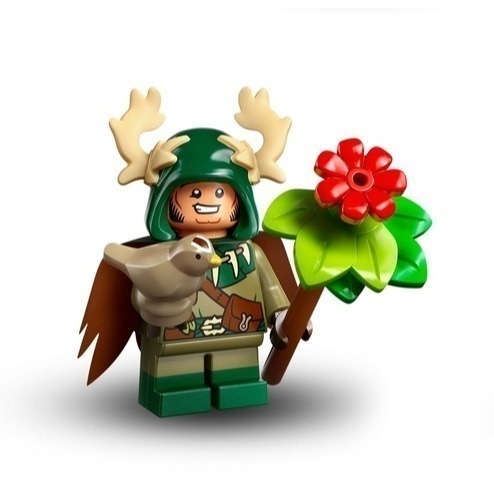 LEGO 樂高 龍與地下城人偶包 Minifigures D&D 71047 全新確認過人偶 雙北面交-規格圖3