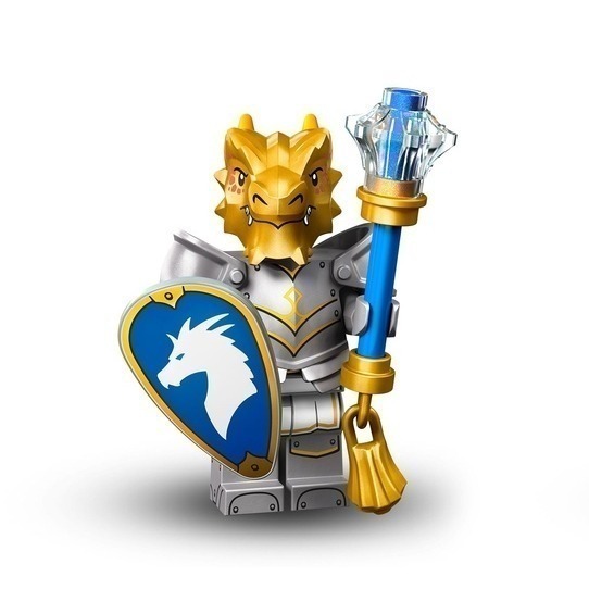 LEGO 樂高 龍與地下城人偶包 Minifigures D&D 71047 全新確認過人偶 雙北面交-規格圖3