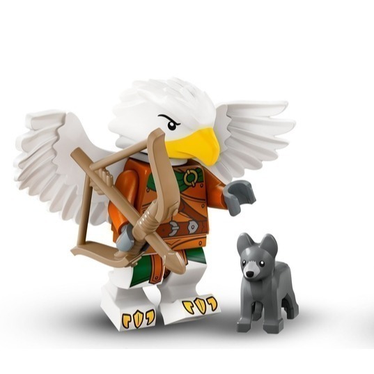 LEGO 樂高 龍與地下城人偶包 Minifigures D&D 71047 全新確認過人偶 雙北面交-規格圖3