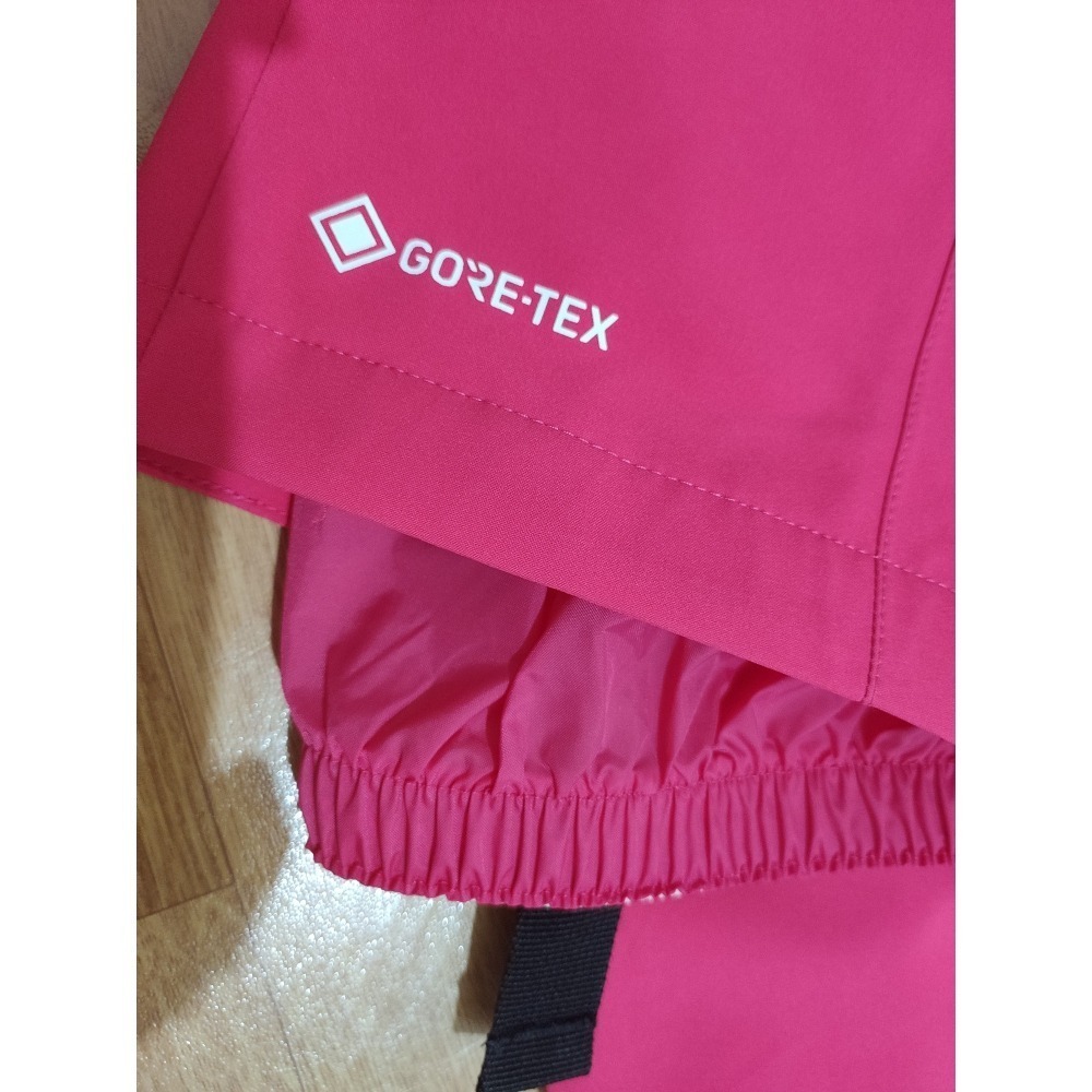 全新正品 Spyder GORE-TEX 雪褲 滑雪-細節圖3