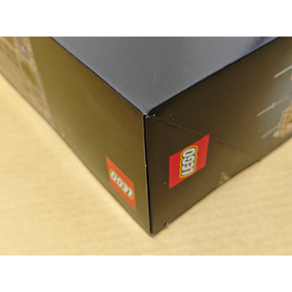 LEGO 巴黎聖母院 21061 全新未拆 雙北面交-細節圖2