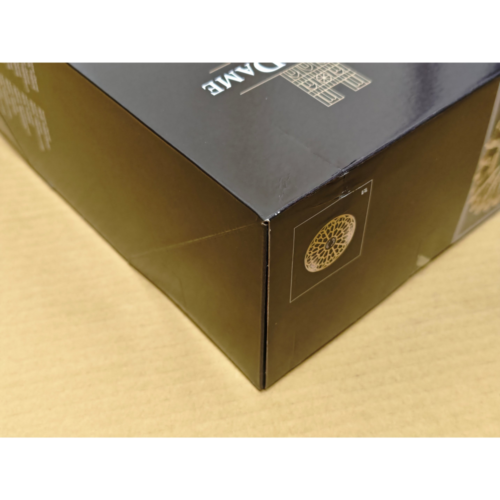 LEGO 巴黎聖母院 21061 全新未拆 雙北面交-細節圖5