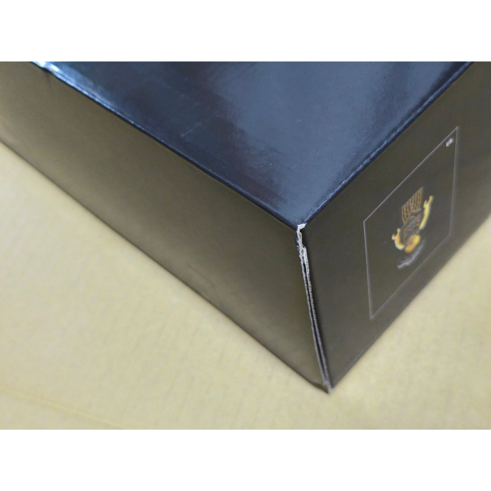 LEGO 樂高 爵士俱樂部 10312 全新未拆 雙北面交-細節圖5