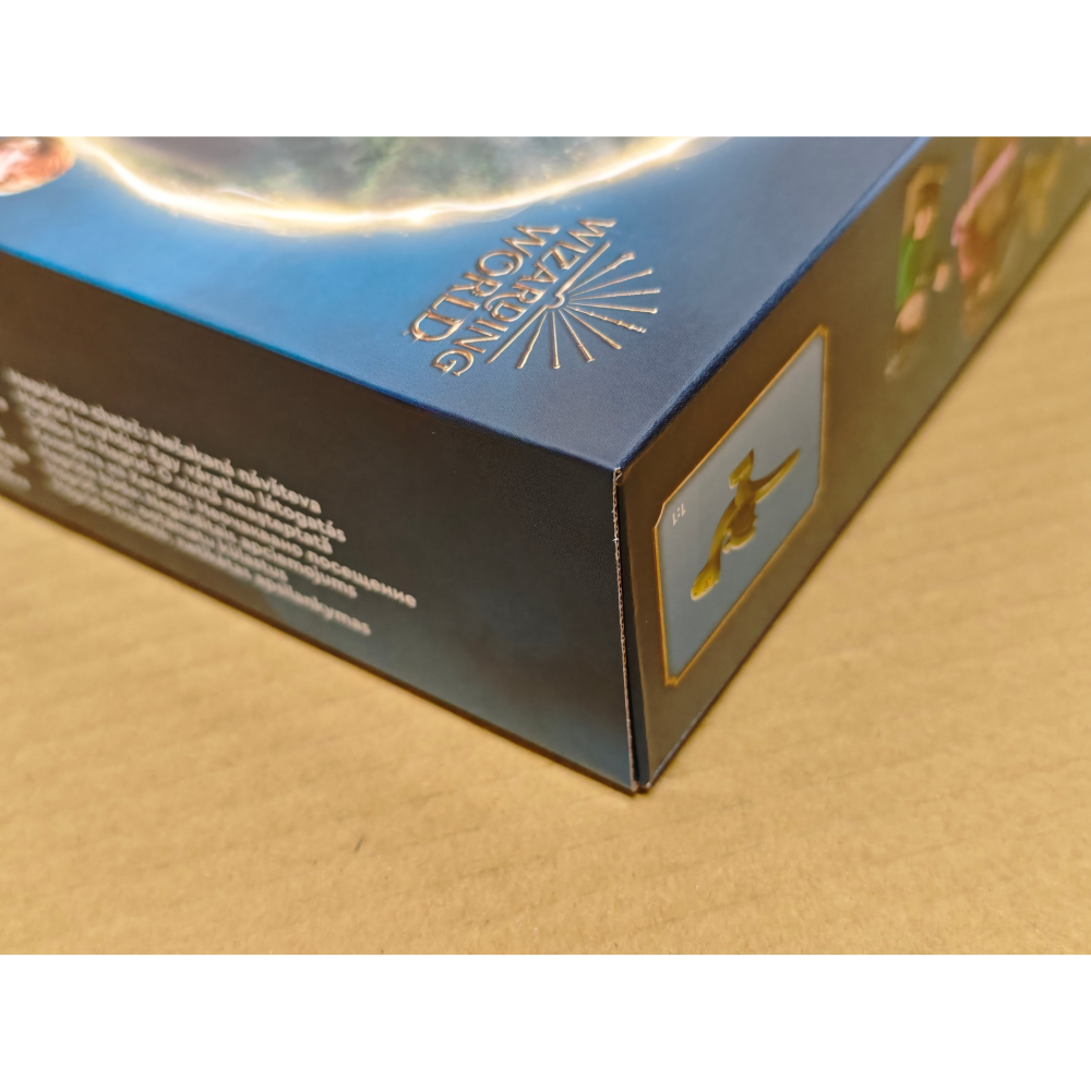 LEGO 樂高 哈利波特 海格小屋 76428 全新未拆 雙北面交-細節圖4