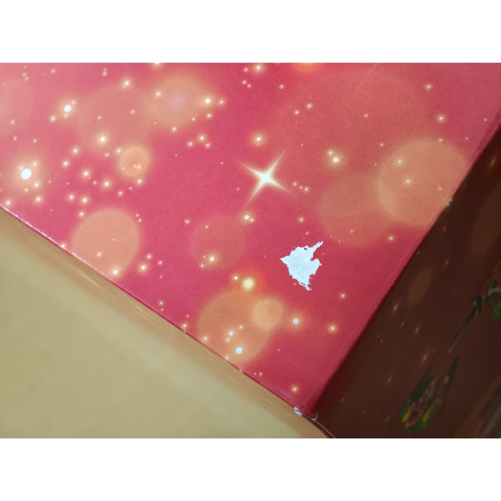 LEGO 樂高 家庭 聖誕樹 擺飾 Christmas Tree 41843全新未拆 雙北面交-細節圖5