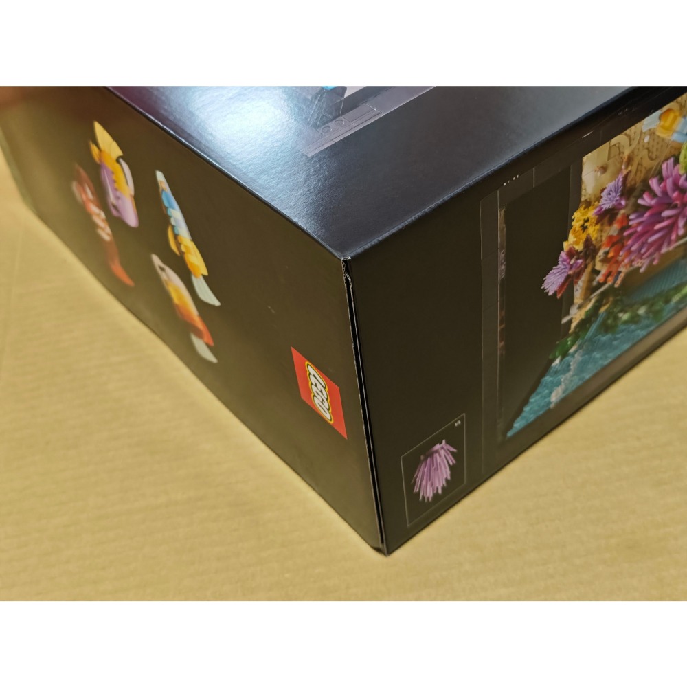 LEGO 樂高 熱帶水族箱 Tropical Aquarium 10366 全新未拆 雙北面交-細節圖4