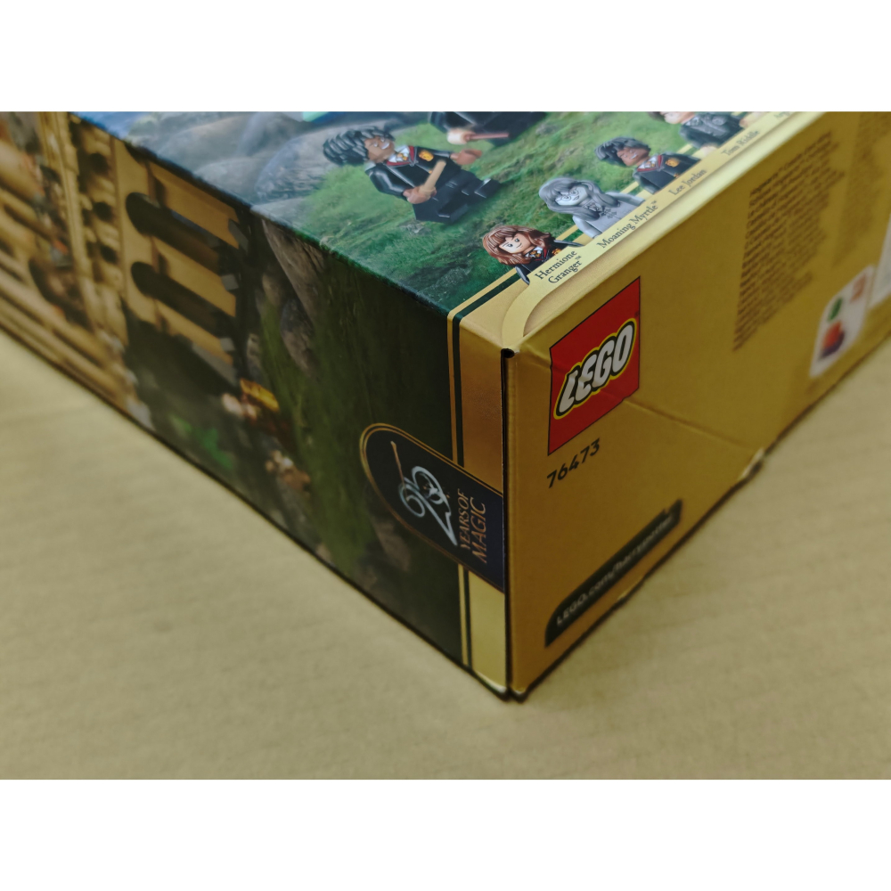 LEGO 樂高 哈利波特 霍格華茲 城堡 東翼 76473 全新未拆 雙北面交-細節圖2