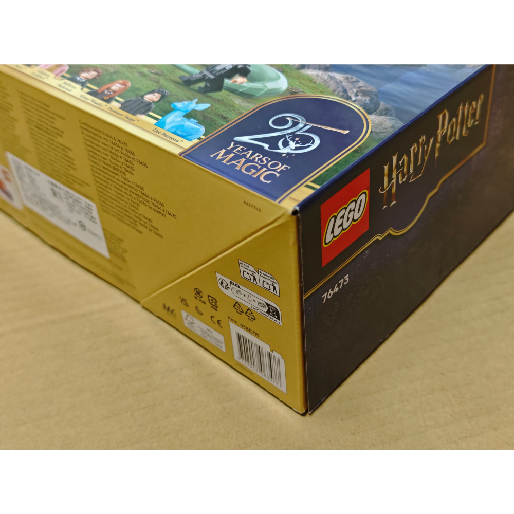 LEGO 樂高 哈利波特 霍格華茲 城堡 東翼 76473 全新未拆 雙北面交-細節圖5