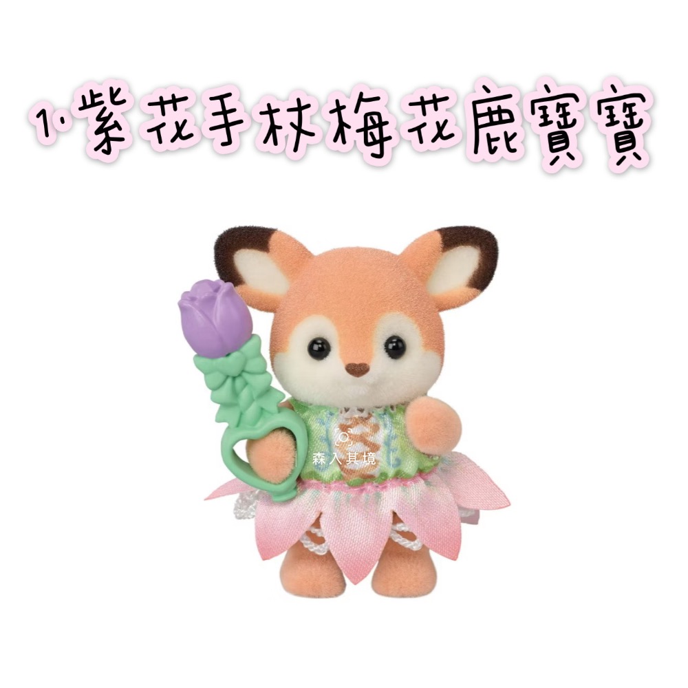 1.紫花手杖梅花鹿寶寶