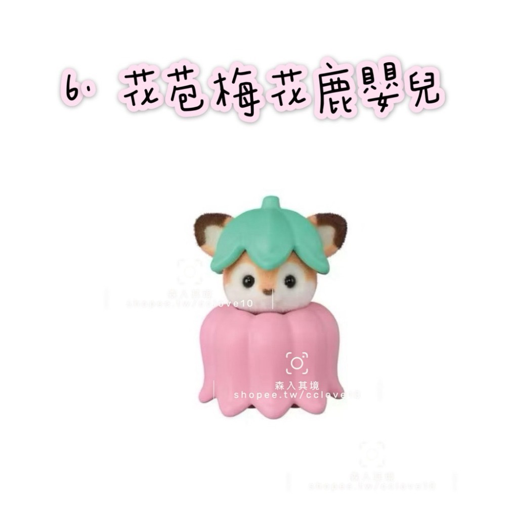 6. 花苞梅花鹿嬰兒