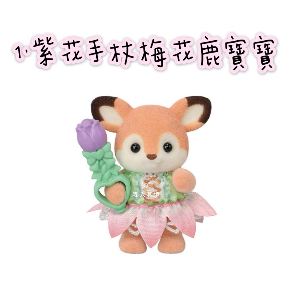 1.紫花手杖梅花鹿寶寶